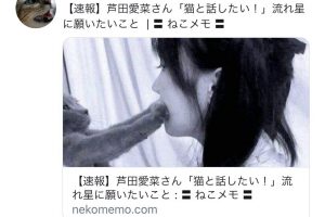 【画像】芦田愛菜さん、心の汚い人間には性的に見える