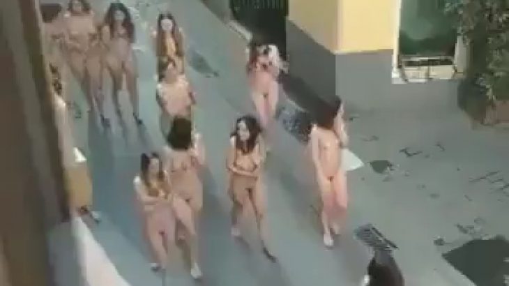 【朗報】フェミニストさん、全裸で街を練り歩いてしまう
